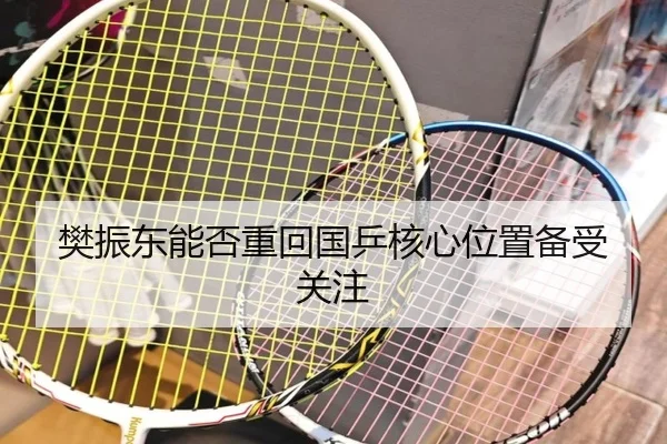 樊振东能否重回国乒核心位置备受关注